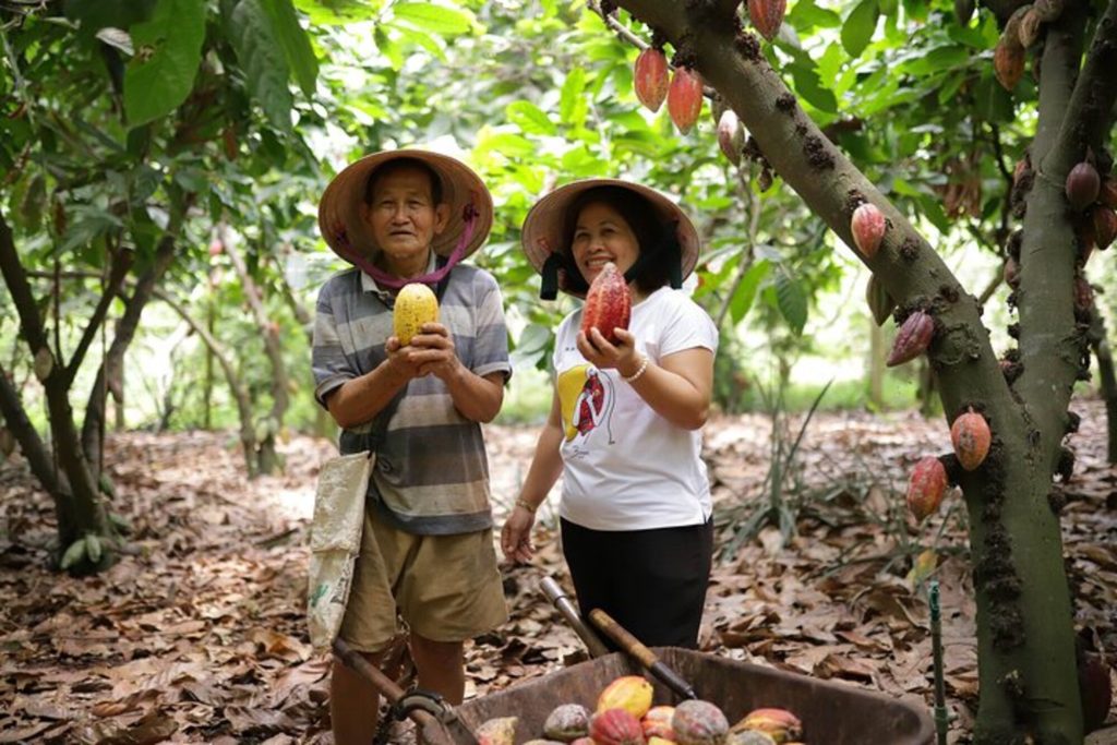 From HCMC 2 Days Nature & Chocolate Getway to Ho Tram